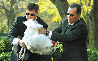 Secret Service agents subdue Wattle.